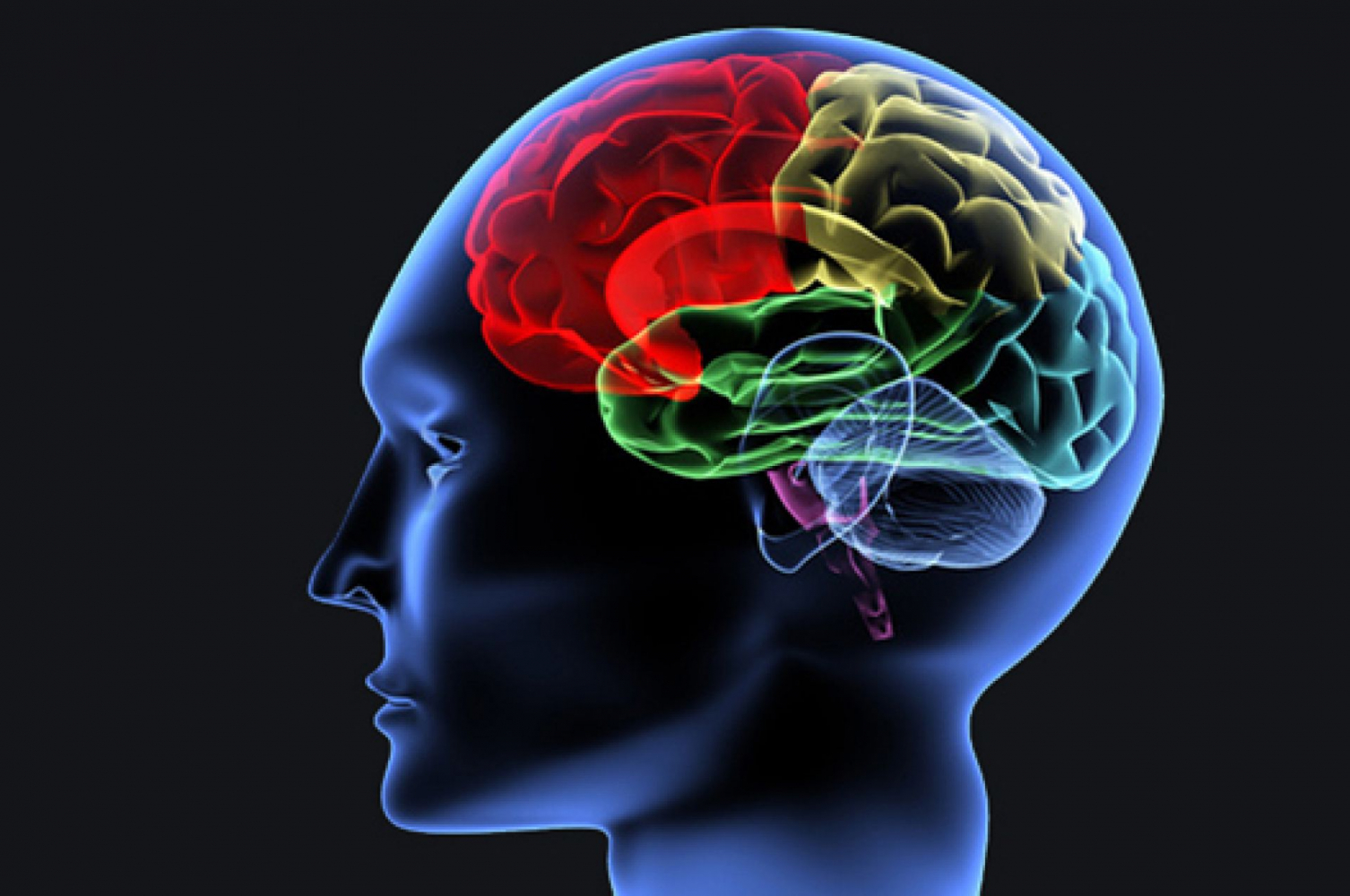 Cerca de 50 milhões de pessoas em todo o mundo têm epilepsia, alerta OMS